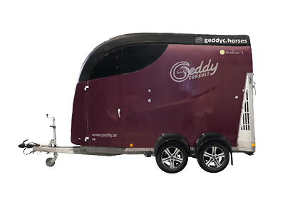 Bild von Bücker Carliner L mit offener Tür