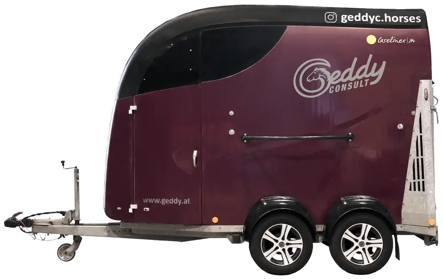 Pferdeanhänger Bücker Carliner M