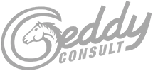 Logo der Geddy Consult GmbH