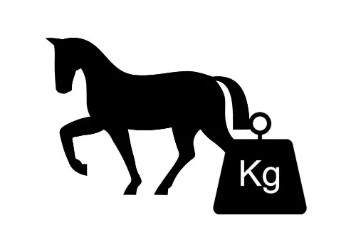 Icon Gewicht Zuladung