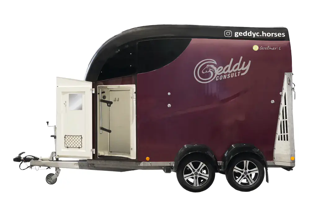 Pferdeanhänger Bücker Carline L Seitenansicht mit geöffneter Tür - zum Mieten bei Geddy Consult GmbH